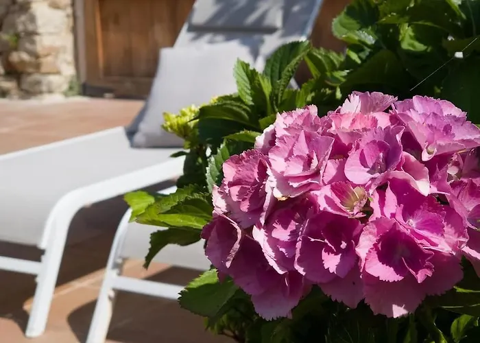 La Casona De Obdulia Tresgrandas