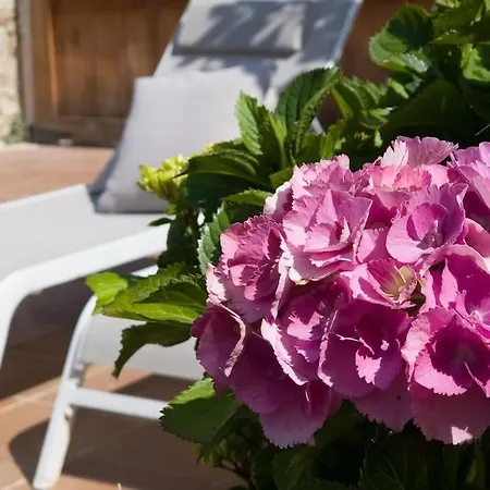 La Casona De Obdulia Tresgrandas