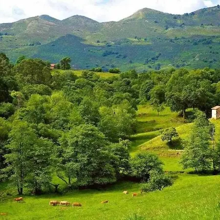 La Casona De Obdulia 特里斯格兰达斯